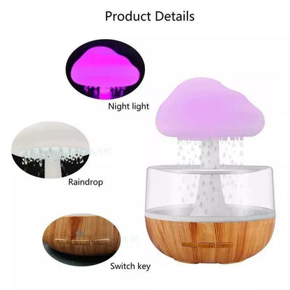 Rain Cloud Humidifier Ismokraft